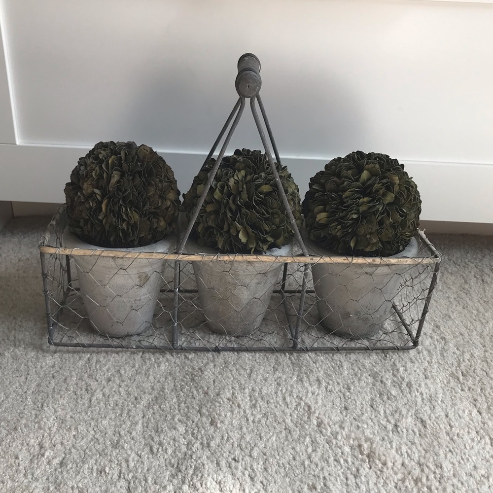 Three Piece Plant Set with Wire Basket Carrier
